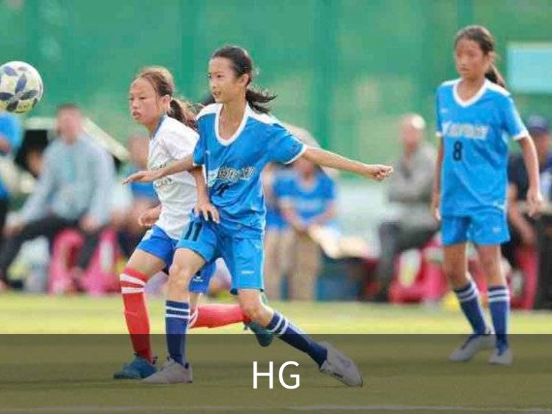 HG介绍